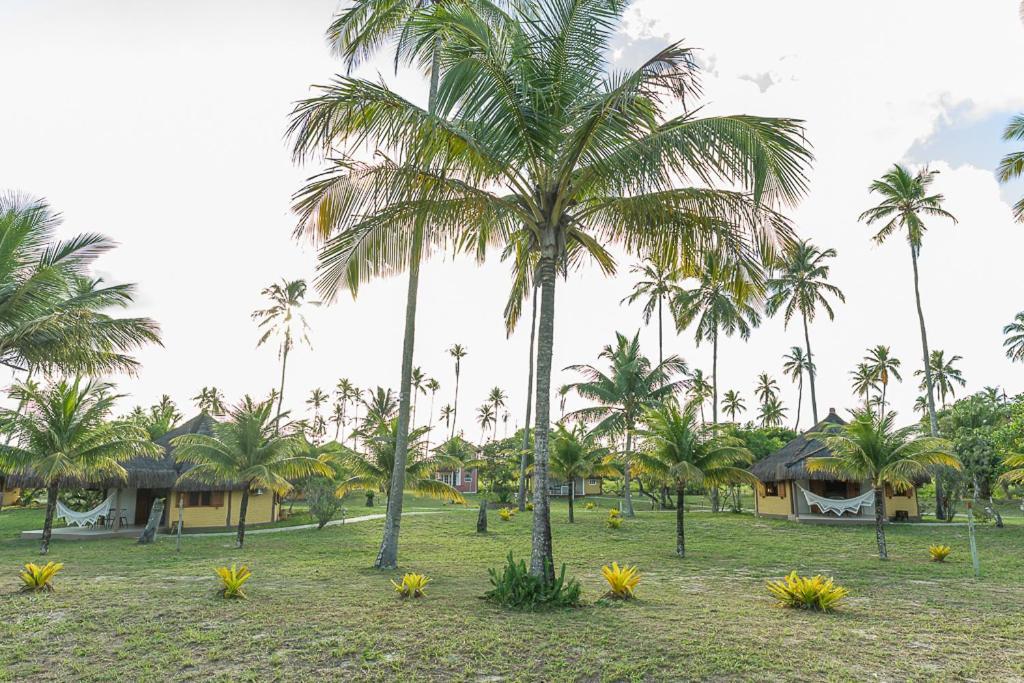 Jocotoka Village - Ponta Do Corumbau Kültér fotó